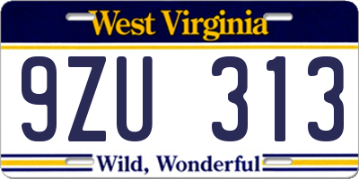 WV license plate 9ZU313