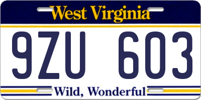 WV license plate 9ZU603