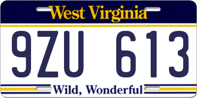WV license plate 9ZU613