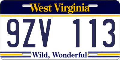 WV license plate 9ZV113