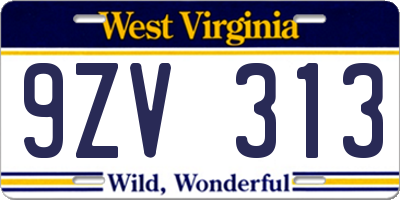 WV license plate 9ZV313