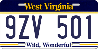 WV license plate 9ZV501