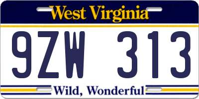 WV license plate 9ZW313