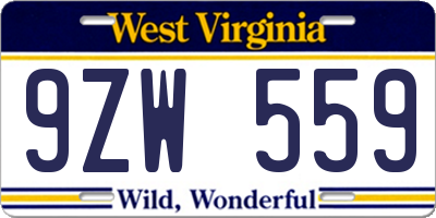 WV license plate 9ZW559