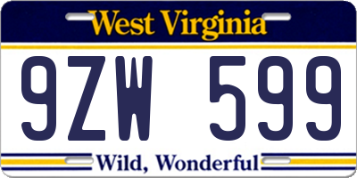 WV license plate 9ZW599