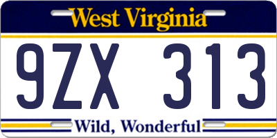WV license plate 9ZX313