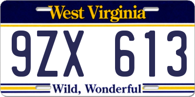 WV license plate 9ZX613