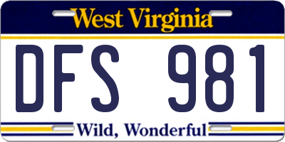 WV license plate DFS981