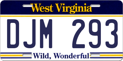 WV license plate DJM293