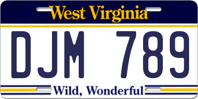 WV license plate DJM789