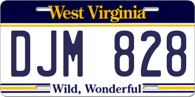 WV license plate DJM828