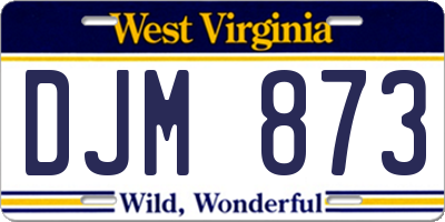 WV license plate DJM873