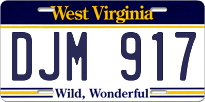 WV license plate DJM917