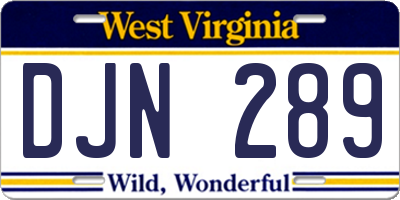 WV license plate DJN289