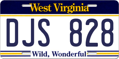 WV license plate DJS828