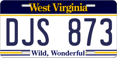 WV license plate DJS873