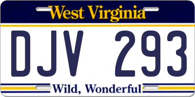 WV license plate DJV293