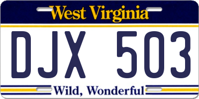 WV license plate DJX503