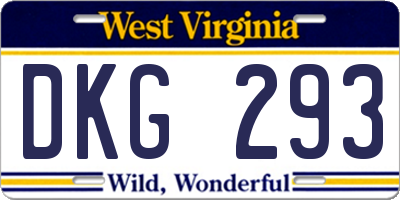 WV license plate DKG293
