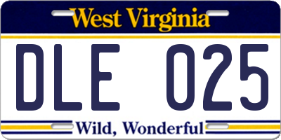 WV license plate DLE025