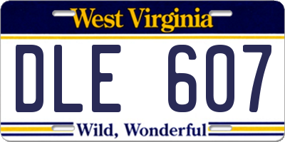 WV license plate DLE607