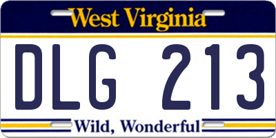 WV license plate DLG213