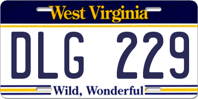WV license plate DLG229