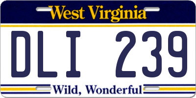 WV license plate DLI239
