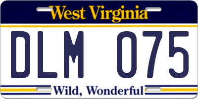 WV license plate DLM075