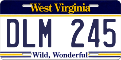 WV license plate DLM245