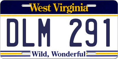 WV license plate DLM291