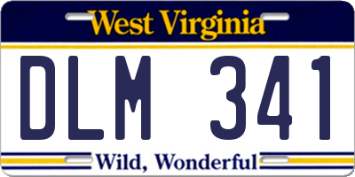 WV license plate DLM341