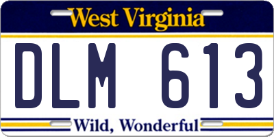 WV license plate DLM613