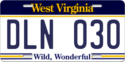 WV license plate DLN030