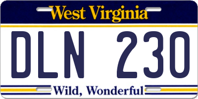 WV license plate DLN230