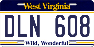 WV license plate DLN608