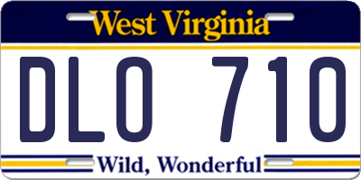 WV license plate DLO710