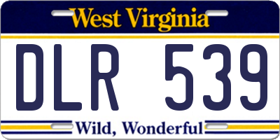 WV license plate DLR539