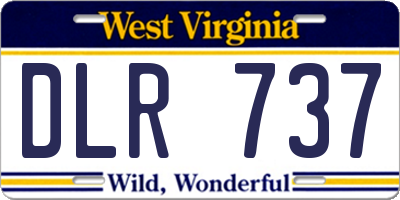 WV license plate DLR737