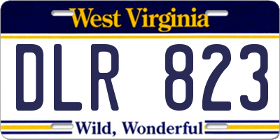 WV license plate DLR823