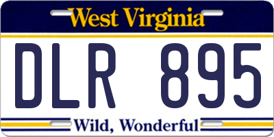 WV license plate DLR895