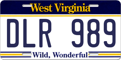 WV license plate DLR989