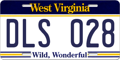 WV license plate DLS028