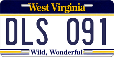 WV license plate DLS091