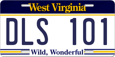 WV license plate DLS101