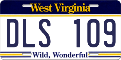 WV license plate DLS109
