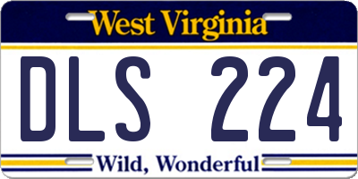WV license plate DLS224