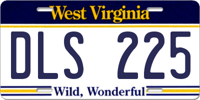 WV license plate DLS225