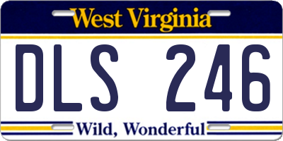 WV license plate DLS246