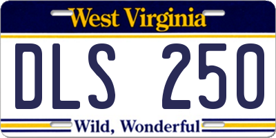WV license plate DLS250